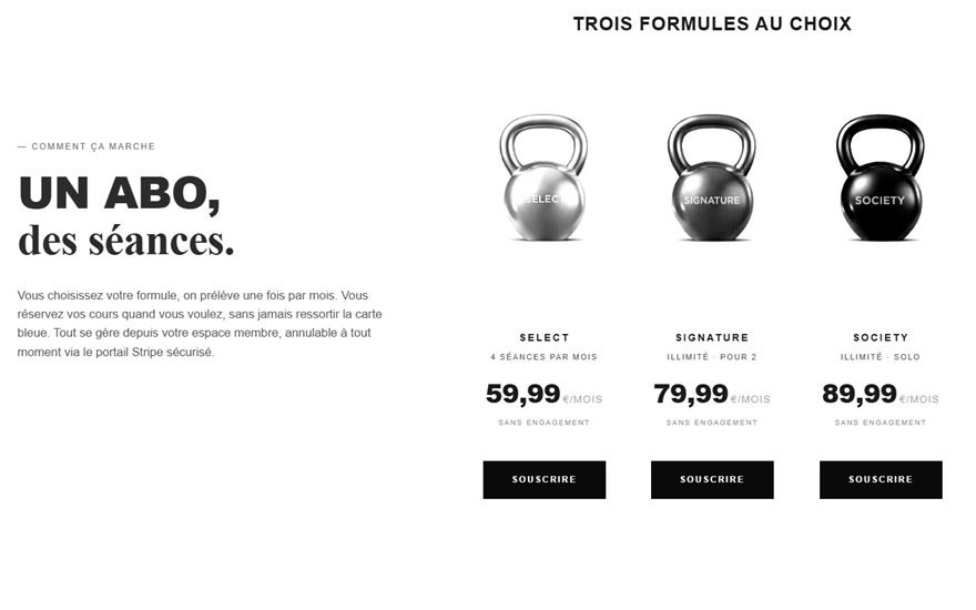 Page d abonnements développée par Surtech pour Terra Studio : trois formules, paiement récurrent Stripe et gestion depuis l espace membre